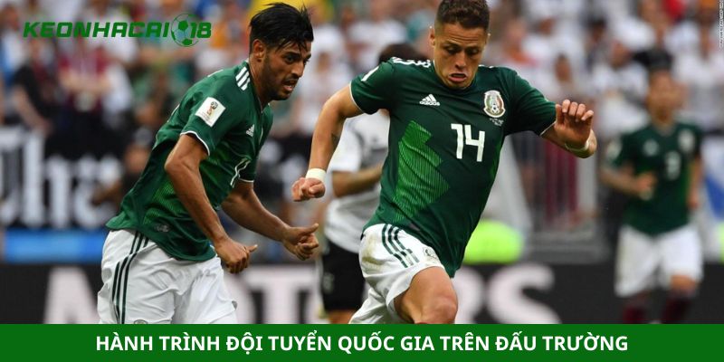 Hành trình đội tuyển quốc gia trên đấu trường