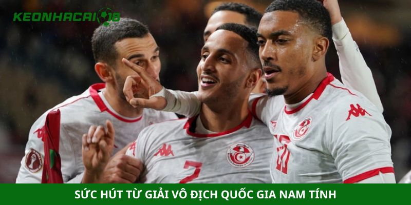 Sức hút từ giải vô địch quốc gia nam tính